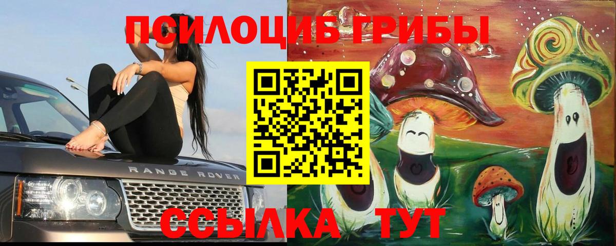 Псилоцибиновые грибы MAGIC MUSHROOMS Пятигорск
