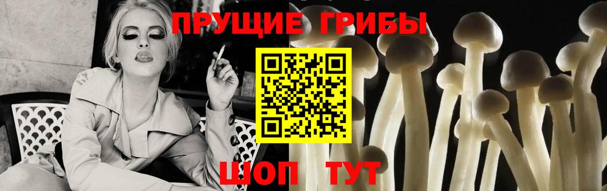 Пятигорск  Псилоцибиновые грибы MAGIC MUSHROOMS  цены наркотик  Вход с VPN 